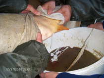 foto/forum/2012/th-img20087.jpg