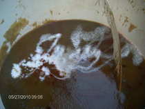 foto/forum/2012/th-img20088.jpg