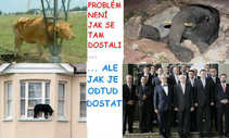 foto/forum/2012/th-img20089.jpg