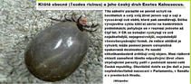 foto/forum/2012/th-img20152.png