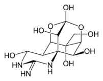 foto/forum/2012/th-img20160.png