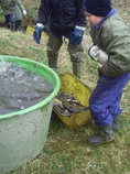 foto/forum/2012/th-img20169.jpg