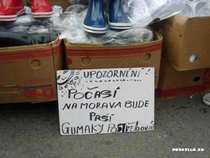 foto/forum/2012/th-img20199.jpg