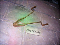 foto/forum/2012/th-img20200.png
