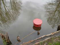foto/forum/2012/th-img20220.jpg