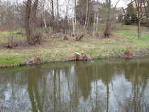 foto/forum/2012/th-img20221.jpg