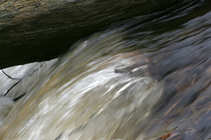 foto/forum/2012/th-img20237.jpg