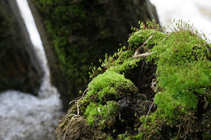 foto/forum/2012/th-img20238.jpg