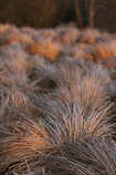foto/forum/2012/th-img20239.jpg