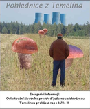 foto/forum/2012/th-img20242.png