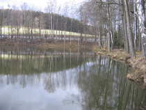 foto/forum/2012/th-img20251.jpg