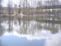 foto/forum/2012/th-img20252.jpg