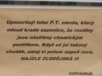 foto/forum/2012/th-img20300.jpg