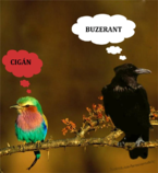 foto/forum/2012/th-img20307.png