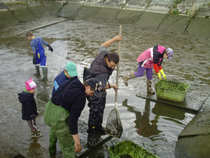 foto/forum/2012/th-img20318.jpg