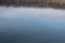foto/forum/2012/th-img20322.jpg