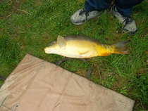 foto/forum/2012/th-img20333.jpg