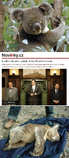 foto/forum/2012/th-img20340.jpg
