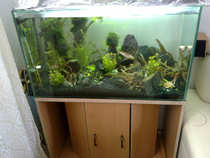 foto/forum/2012/th-img20341.jpg