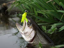 foto/forum/2012/th-img20361.jpg