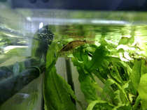 foto/forum/2012/th-img20362.jpg