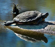 foto/forum/2012/th-img20368.jpg
