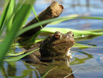 foto/forum/2012/th-img20383.jpg