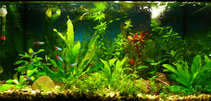 foto/forum/2012/th-img20386.jpg