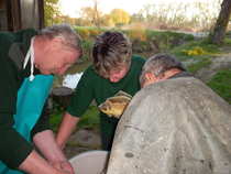 foto/forum/2012/th-img20394.jpg