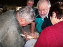 foto/forum/2012/th-img20395.jpg