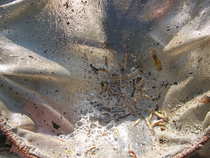 foto/forum/2012/th-img20397.jpg