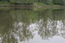 foto/forum/2012/th-img20418.jpg