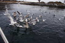 foto/forum/2012/th-img20455.jpg