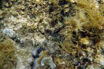 foto/forum/2012/th-img20463.jpg