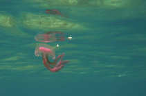 foto/forum/2012/th-img20464.jpg