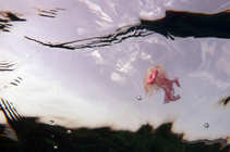 foto/forum/2012/th-img20465.jpg