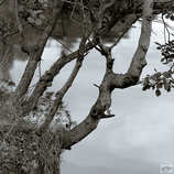 foto/forum/2012/th-img20609.jpg
