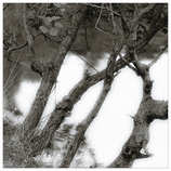 foto/forum/2012/th-img20610.jpg
