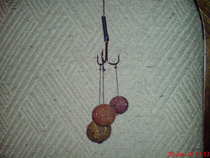 foto/forum/2012/th-img20670.jpg