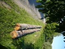 foto/forum/2012/th-img20684.jpg