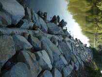foto/forum/2012/th-img20685.jpg