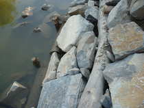 foto/forum/2012/th-img20686.jpg