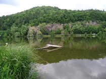 foto/forum/2012/th-img20688.jpg