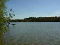 foto/forum/2012/th-img20703.jpg