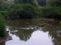 foto/forum/2012/th-img20715.jpg