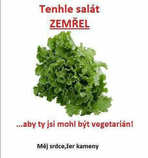 foto/forum/2012/th-img20749.jpg