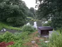 foto/forum/2012/th-img20763.jpg