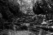 foto/forum/2012/th-img20770.jpg