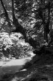 foto/forum/2012/th-img20771.jpg