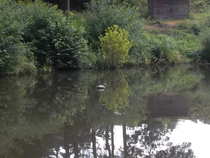 foto/forum/2012/th-img20778.jpg